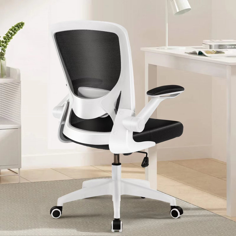 Inbox Zero Home Office Ergonomic Mesh Task Chair & Reviews Wayfair Canada